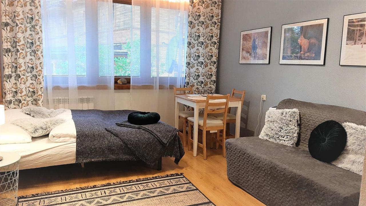 Studio Mila I Nido W Centrum Apartzakop Zakopane Bagian luar foto